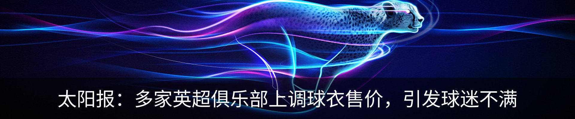 新闻动态