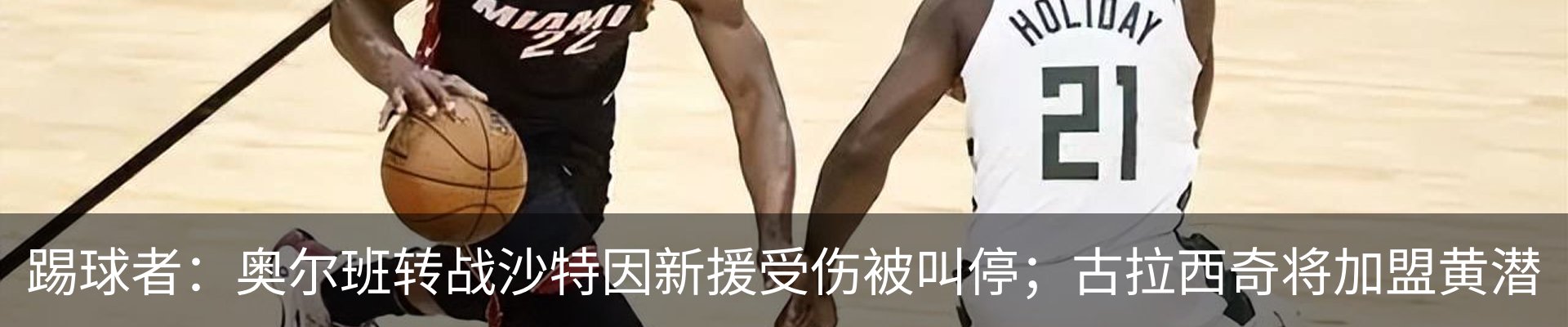 新闻动态