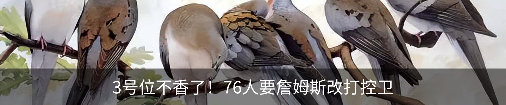 新闻动态